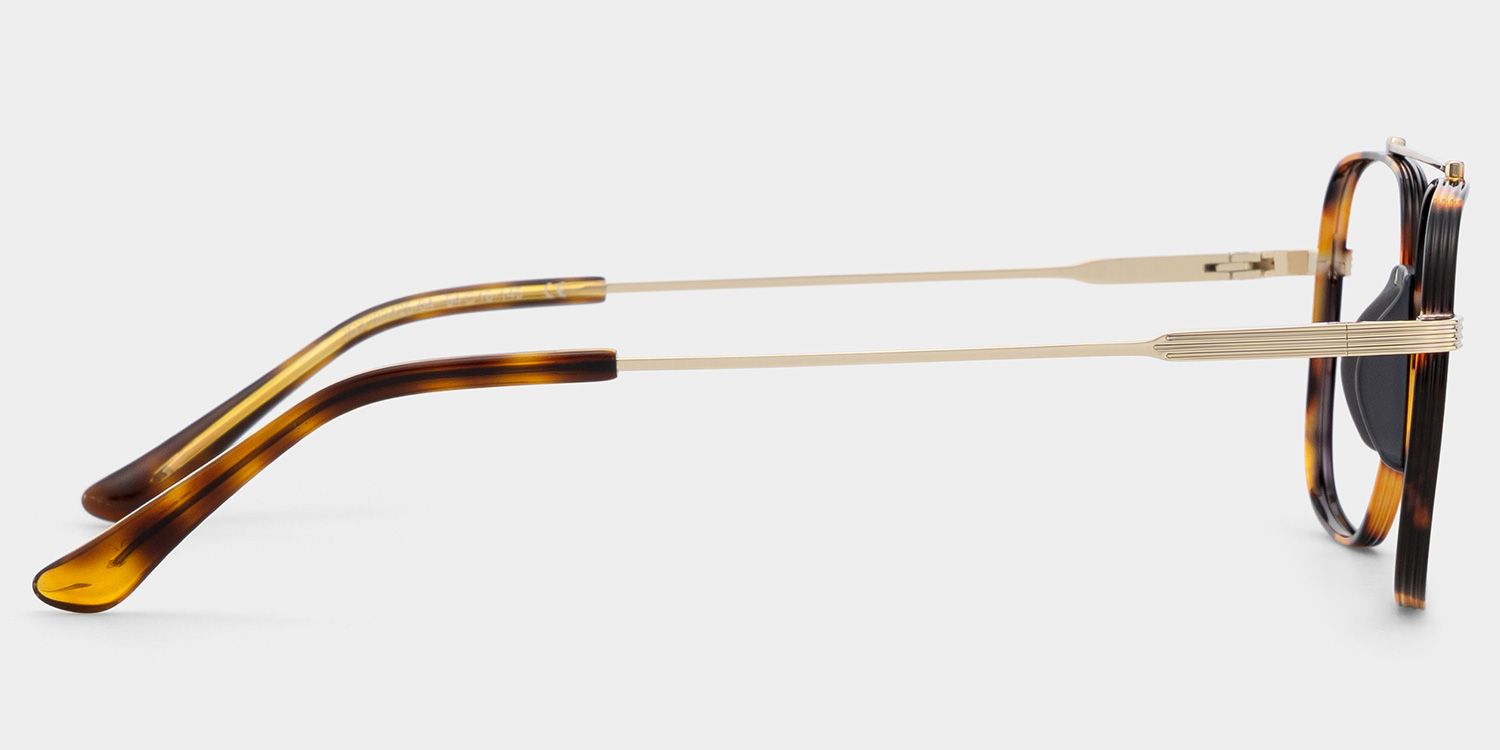 Poppy Tortoise Pilot Brille5