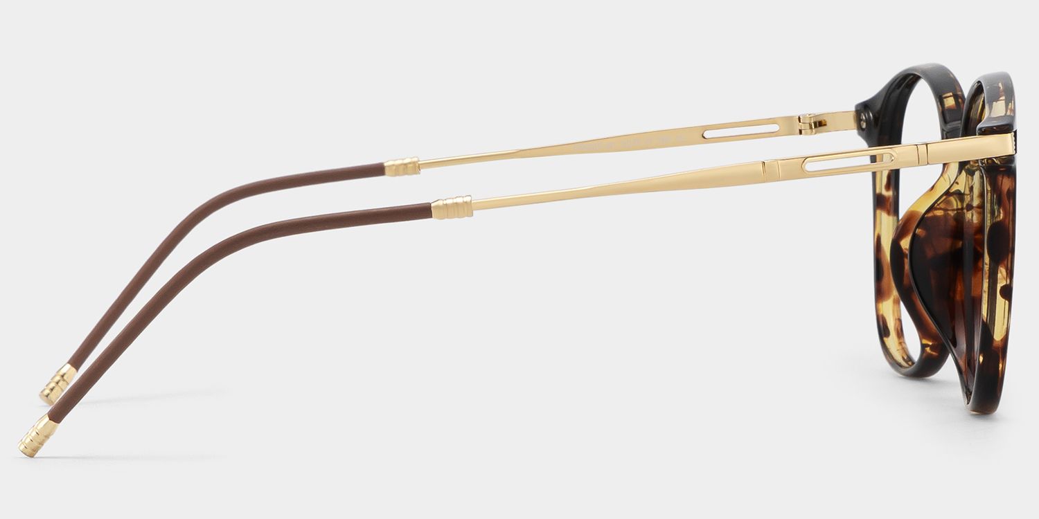 Greene Tortoise Quadratisch Brille3