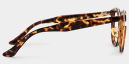 Laraine Braun-Tortoise Cateye Brille3