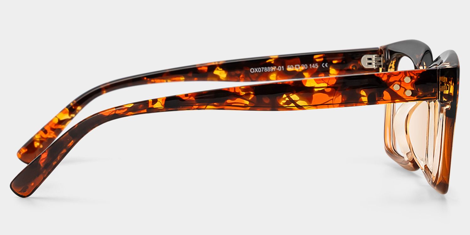 Grover Tortoise Rechteckige Brille3