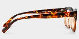 Grover Tortoise Rechteckige Brille3