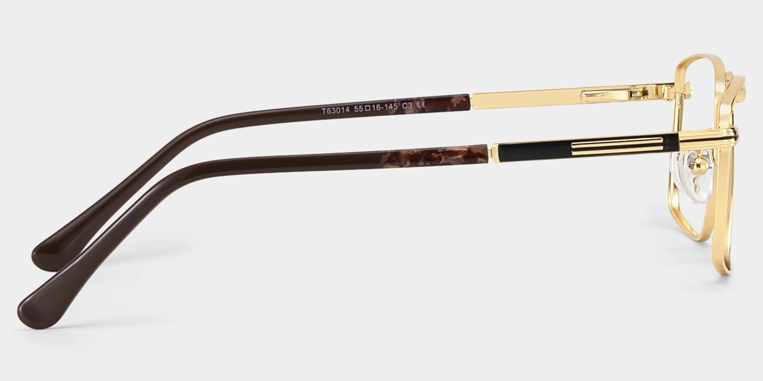 Denny Gold Rechteckig Brille5