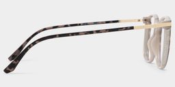 Walden Schwarz-Tortoise Quadratisch Brille3