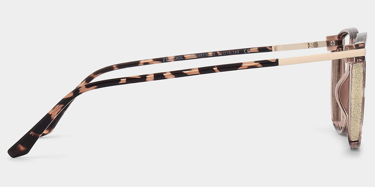 Walden Braun-Tortoise Cateye Brille4