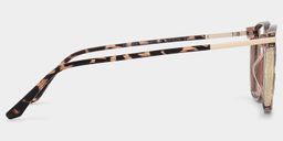 Walden Braun-Tortoise Quadratisch Brille4