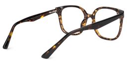 Siner Tortoise Quadratisch Brille3