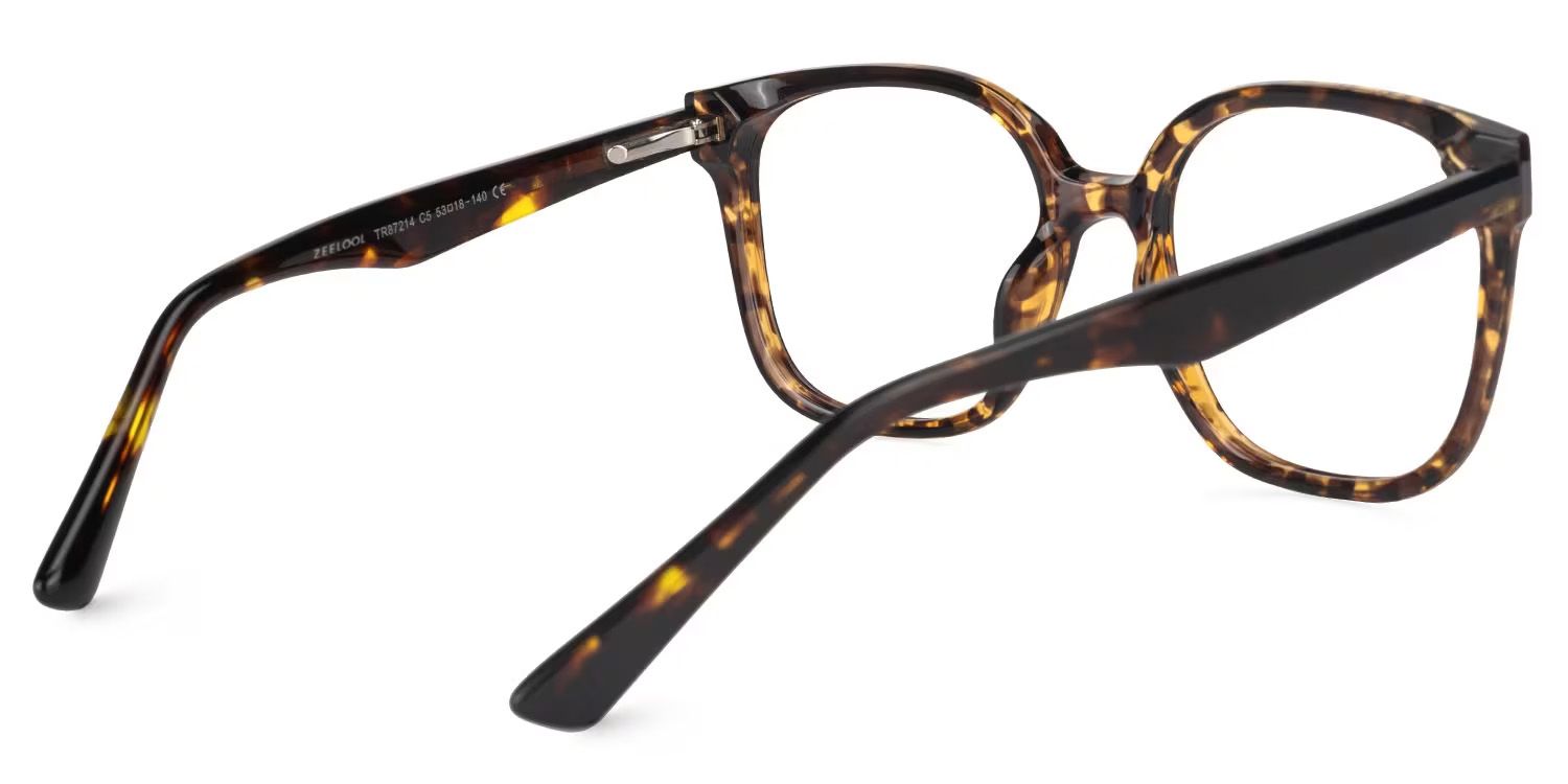 Siner Tortoise Quadratisch Brille3