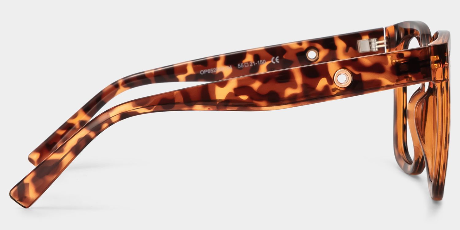 Ebony Tortoise Quadratisch Brille3