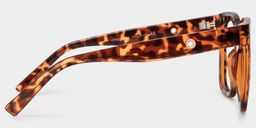 Ebony Tortoise Quadratisch Brille3