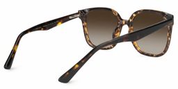 Siner Tortoise Quadratisch Sonnenbrille3