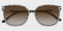 Walden Schwarz-Tortoise Quadratisch Sonnenbrille1