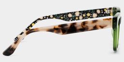 Zinnia Grün Rechteckig Brille6