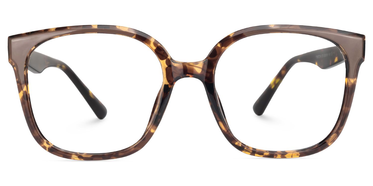 Siner Tortoise Quadratisch Brille1