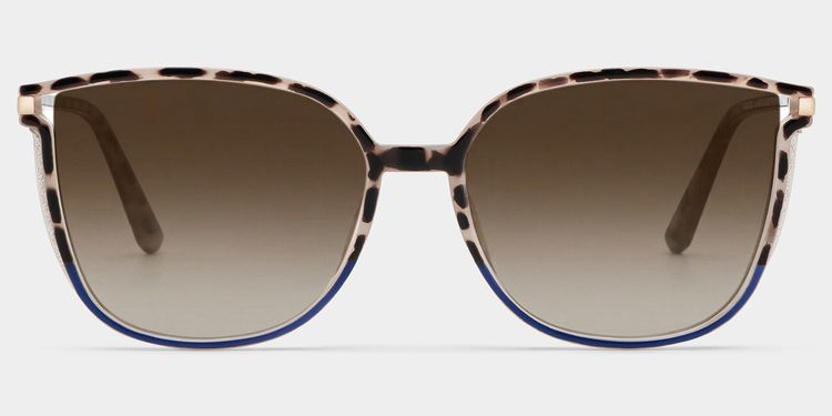 Walden Schwarz-Tortoise Quadratisch Sonnenbrille