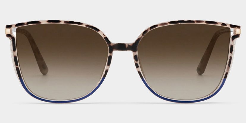 Walden Schwarz-Tortoise Quadratisch Sonnenbrille