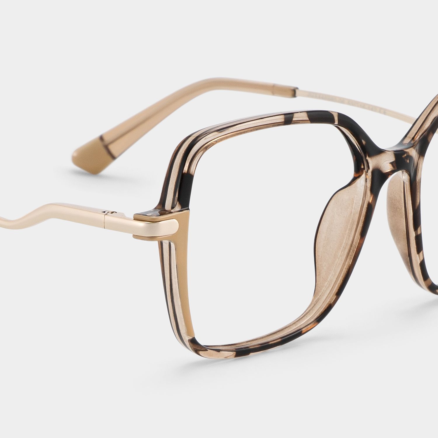 Rendon Tortoise Quadratisch Brille5