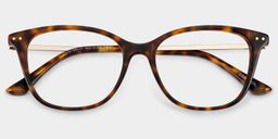 Finch Tortoise Rechteckig Brille2