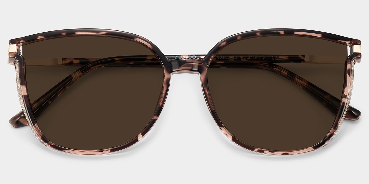 Walden Tr90 Braun-Tortoise Sonnenbrille | ZEELOOL1
