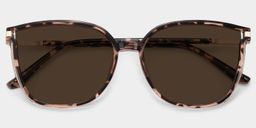 Walden Braun-Tortoise Quadratisch Sonnenbrille1