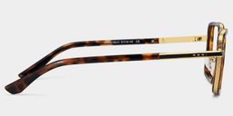 Hunter Tortoise Quadratisch Brille4