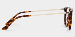 Finch Tortoise Rechteckig Brille4