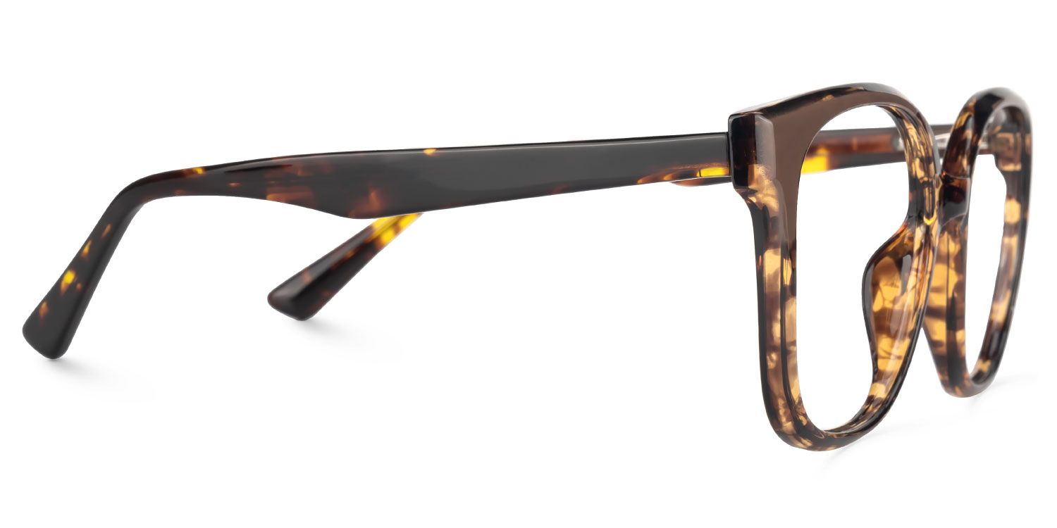 Siner Tortoise Quadratisch Brille4