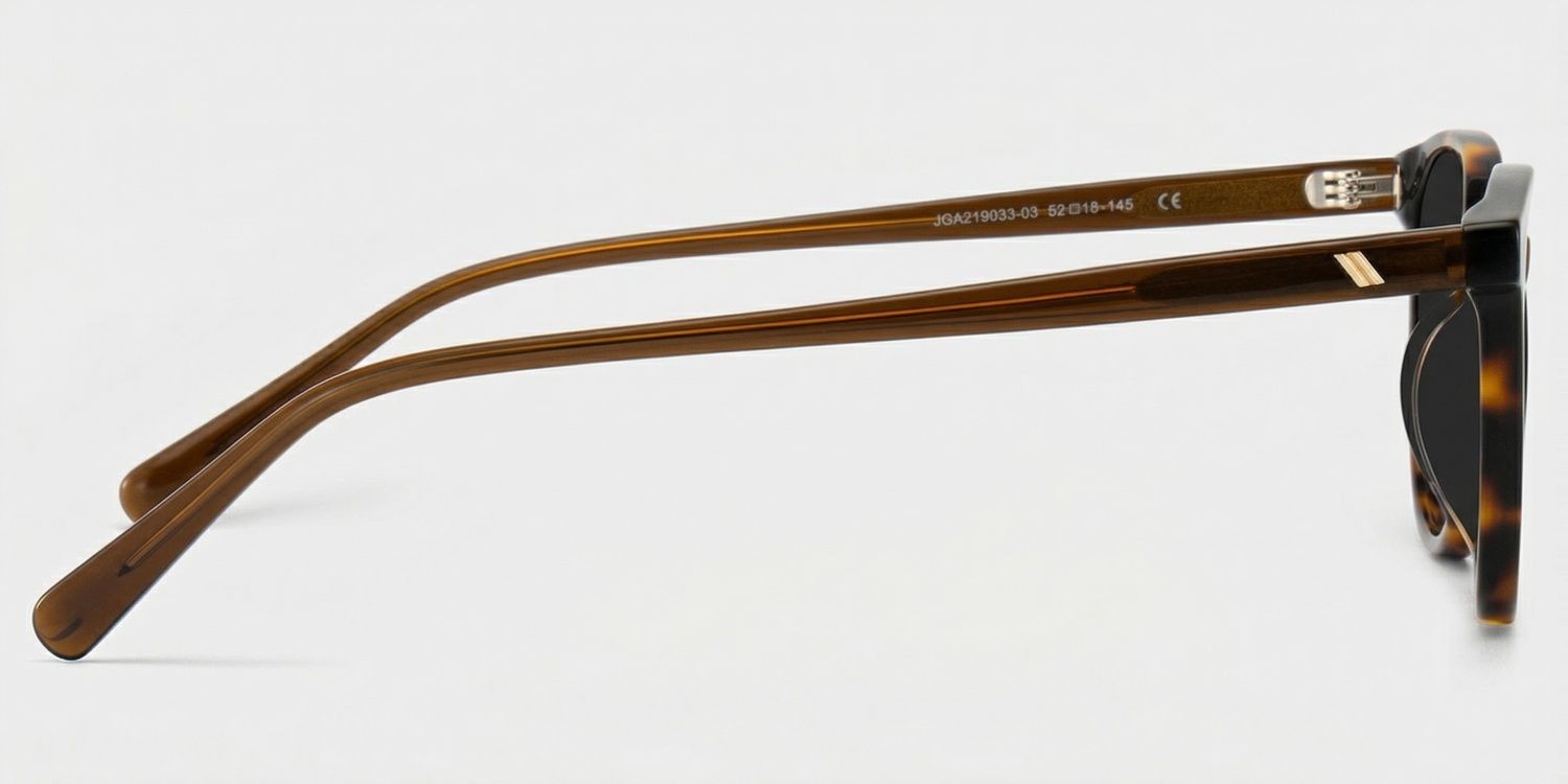 Allison Tortoise Rund Brille3
