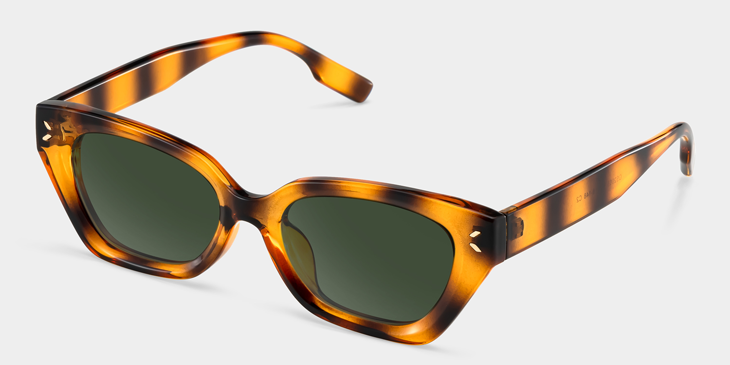 Philo Tortoise Geometrisch Sonnenbrille2