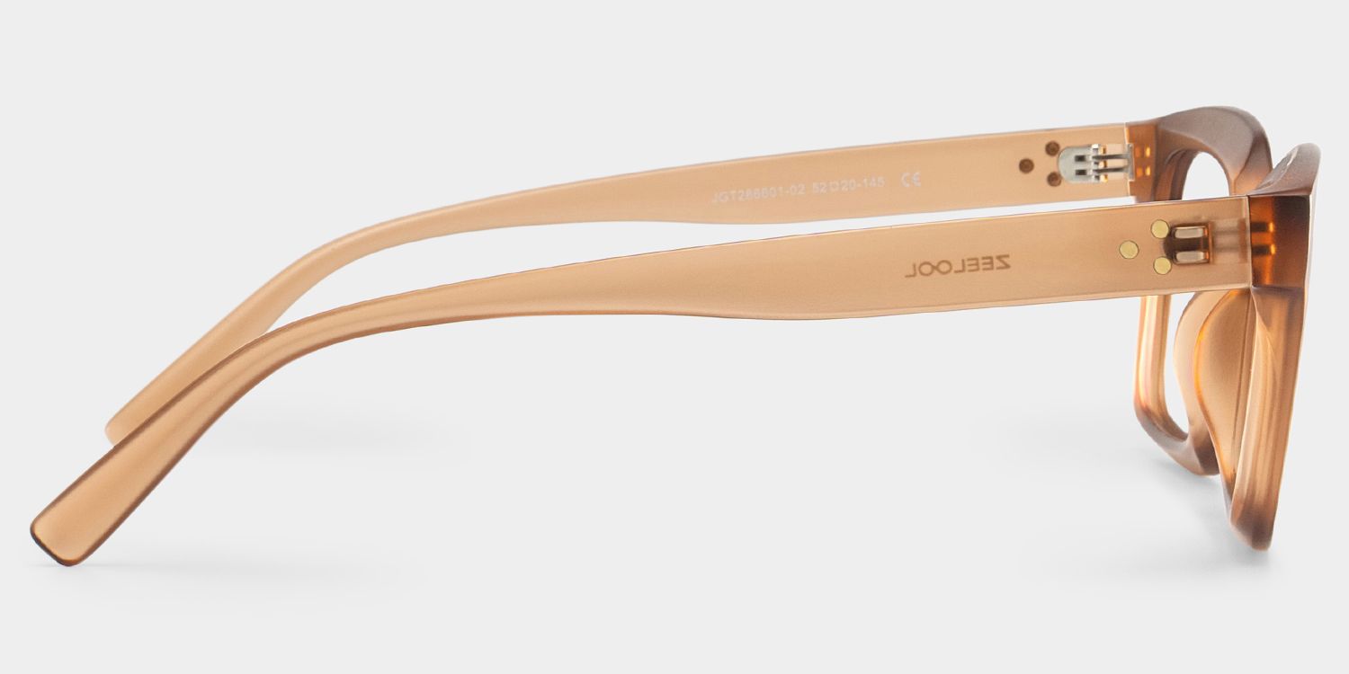 Marley Braun Rechteckig Brille4