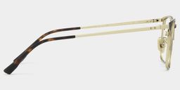 Cole Braun Browline Brille5