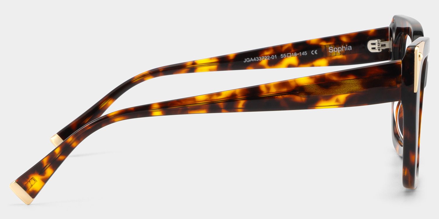 Sophia Tortoise Cateye Brille4
