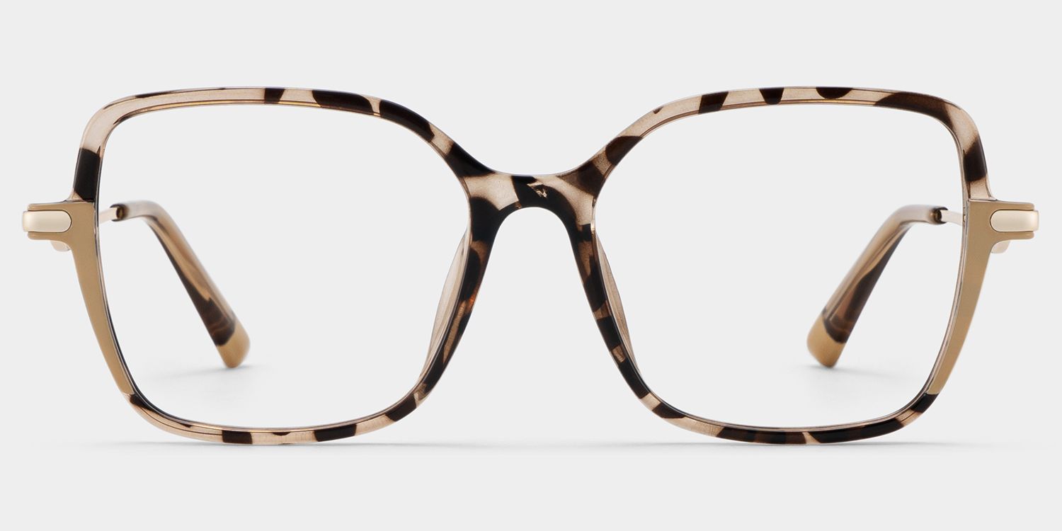 Rendon Tortoise Quadratisch Brille1