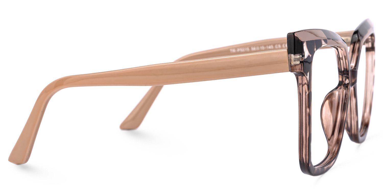 Eboney Tortoise Quadratisch Brille3