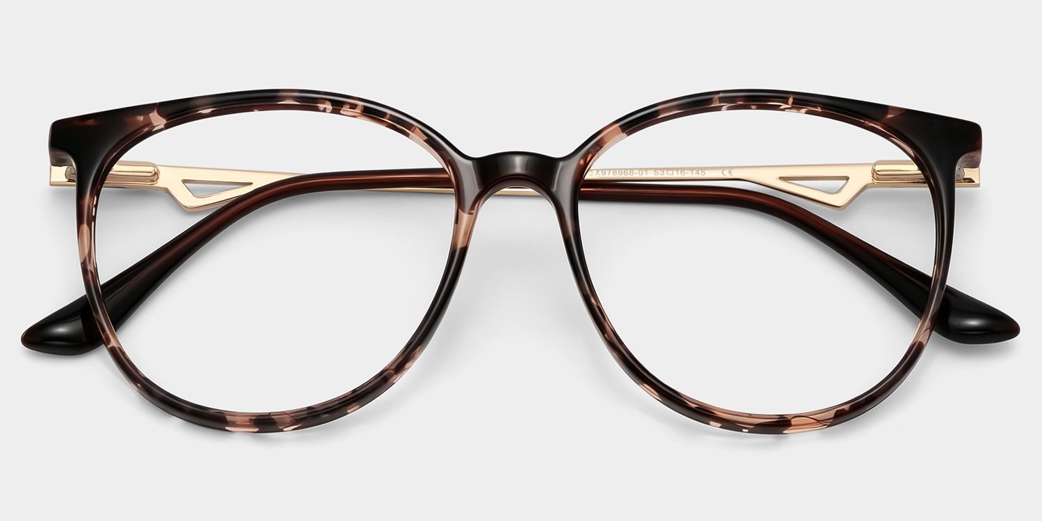 Babbage Schwarz-Tortoise Rund Brille2