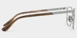 Aubrey Silber Rechteckig Brille6