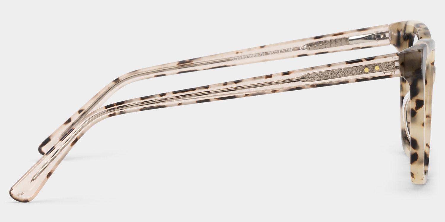 Sage Tortoise Rechteckig Brille3