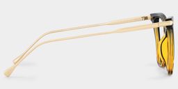 Hilary Tortoise Cateye Brille3