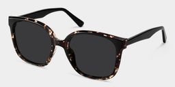 Siner Schwarz-Tortoise Quadratisch Sonnenbrille2