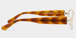 Dakota Tortoise Geometrisch Brille5