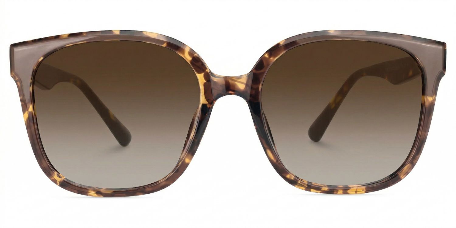 Siner Tortoise Quadratisch Brille0