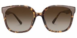 Siner Tortoise Quadratisch Sonnenbrille0