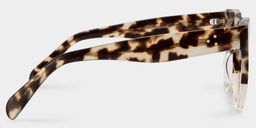 Tandy Hell Tortoise Rechteckige Brille3