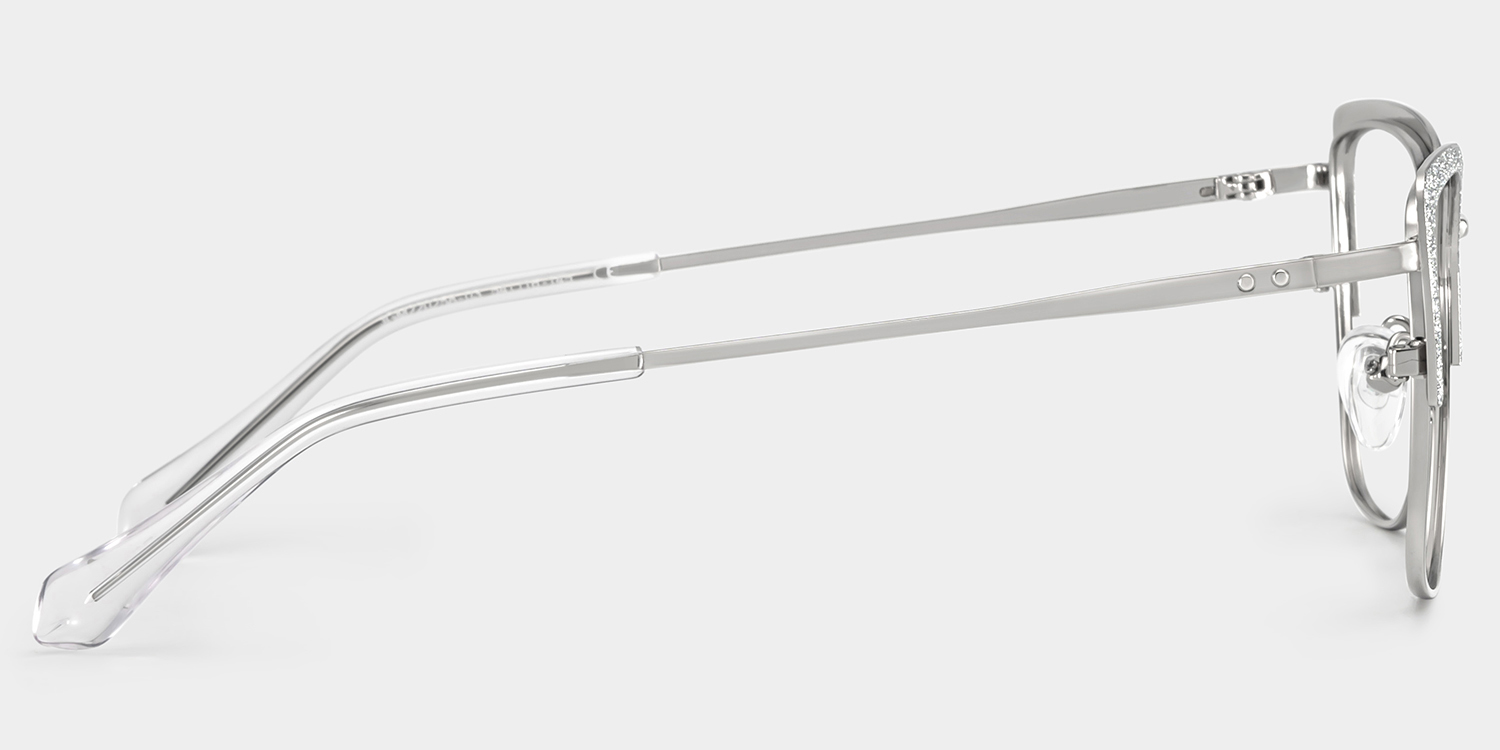 Javier Silber Rechteckig Brille4