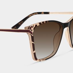 Tricee Tortoise Quadratisch Brille4