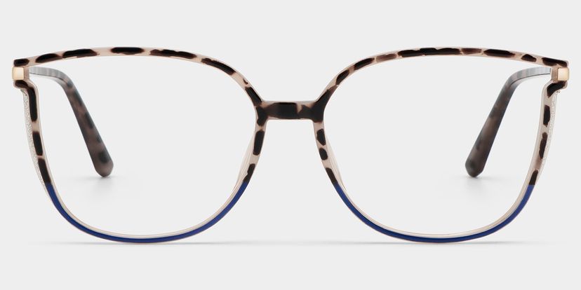 Walden Schwarz-Tortoise Quadratisch Brille