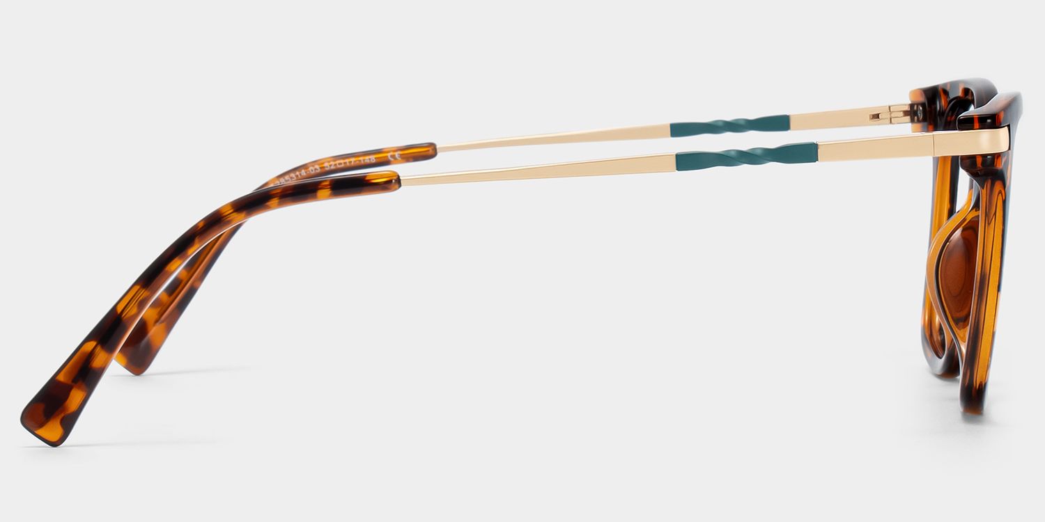 Jacqui Quadratische Schildpatt-Brille4