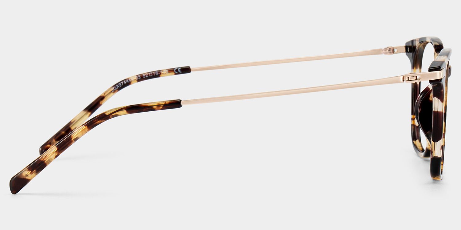 Florence Tortoise Rechteckig Brille5