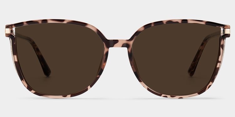 Walden Braun-Tortoise Quadratisch Sonnenbrille