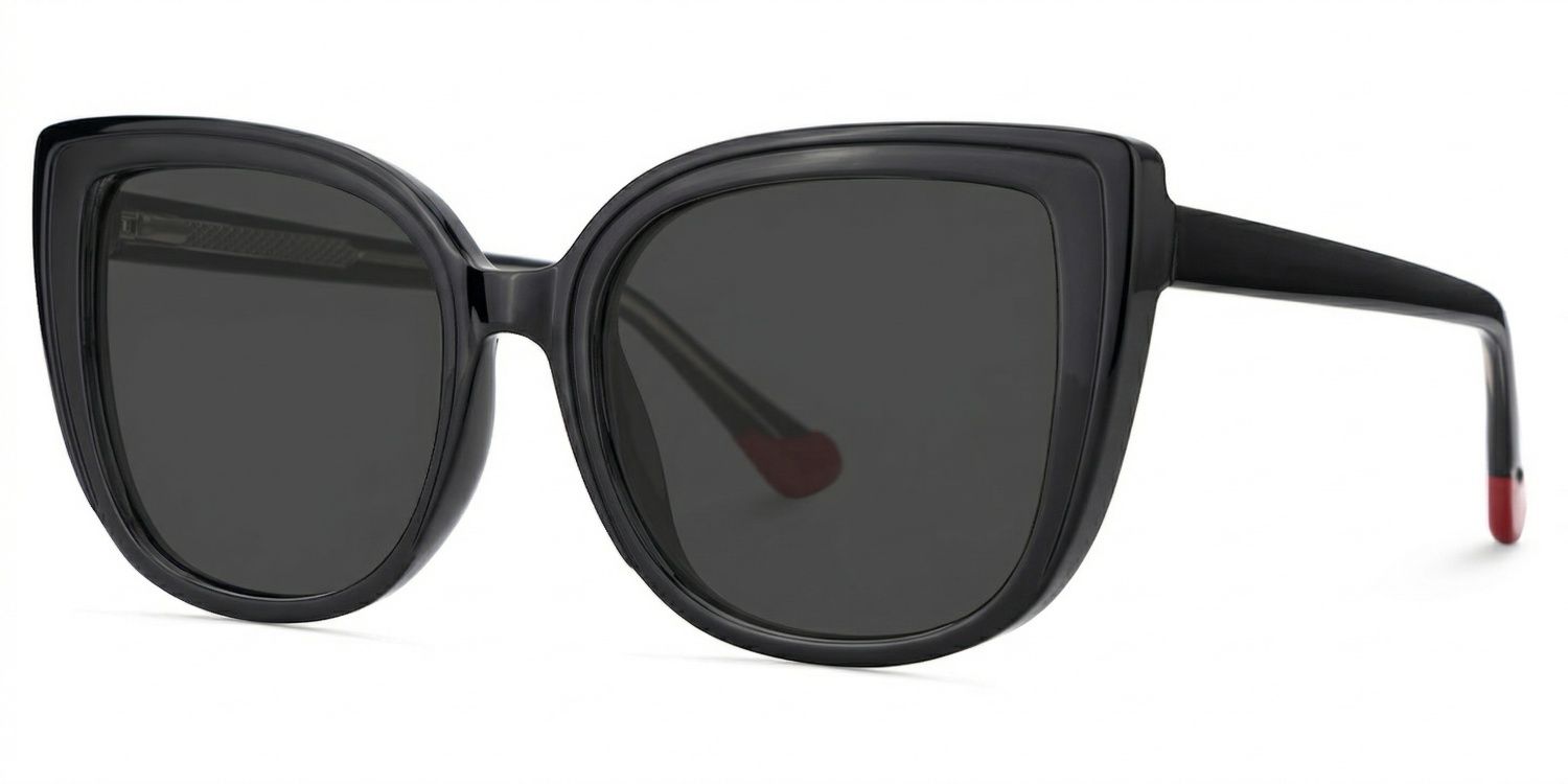 Fenn Tr90 Schwarz Sonnenbrille | ZEELOOL2