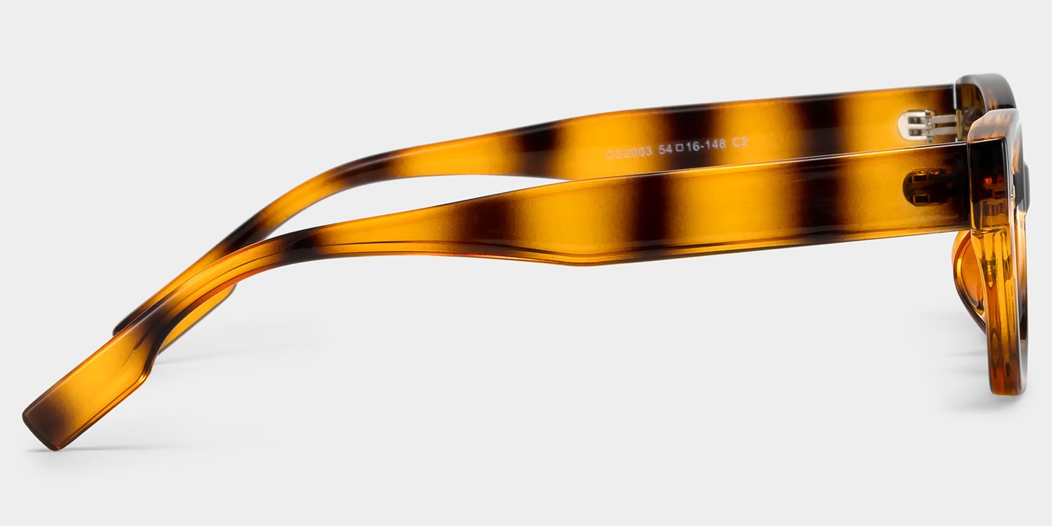 Philo Tr90 Tortoise Geometric Sonnenbrille | ZEELOOL3